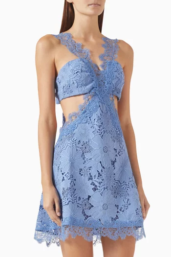 Therese Mini Dress in Lace