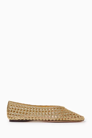 Emery Ballet Flats in Metallic Leather