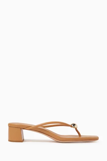 Odessa 40 Thong Sandals in Leather