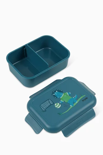 Dinosaur Lunch Box