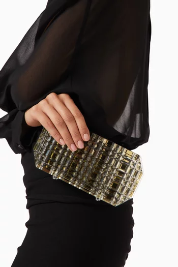 Aurora Shell Clutch in Resin