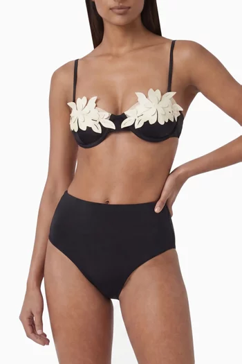 High-waist Bikini Briefs