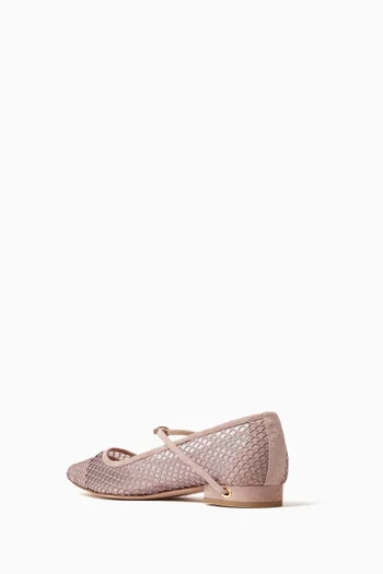 Lorenzo 20 Ballet Flats in Suede & Mesh