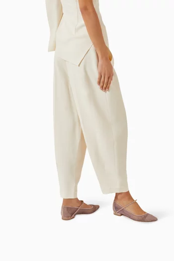 Lorenzo 20 Ballet Flats in Suede & Mesh