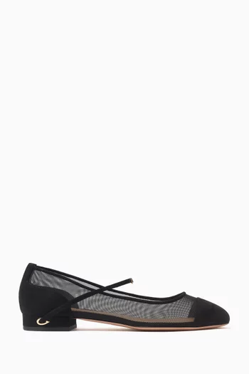Paolo 20 Ballet Flats in Suede & Mesh
