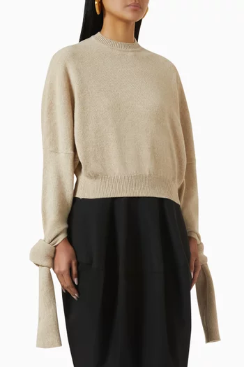 Le Fiocco Sweater in Merino Wool Blend