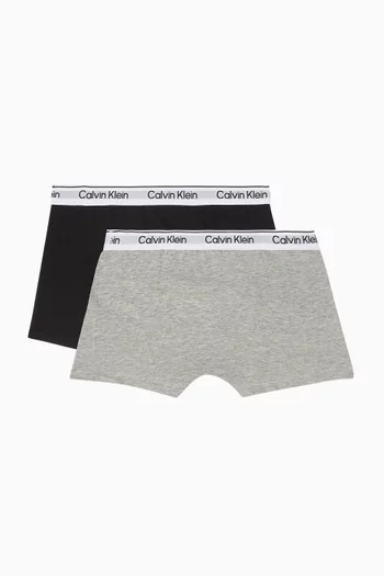 Trunk Set of 2