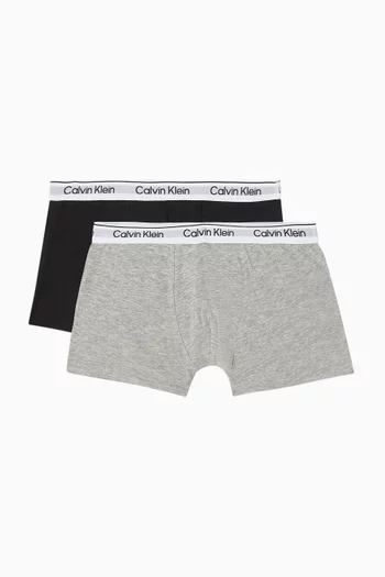 Trunk Set of 2