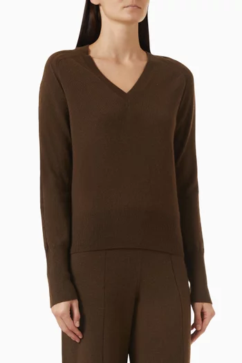 Lucille V-neck Sweater in Cashmere