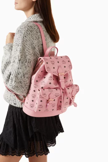 Small Aren Backpack in Visetos