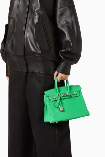 Birkin 25 Bag in Togo Leather