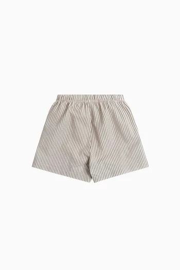 Striped Swim Shorts