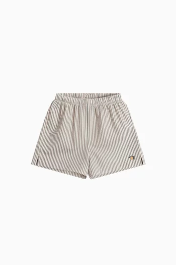 Striped Swim Shorts