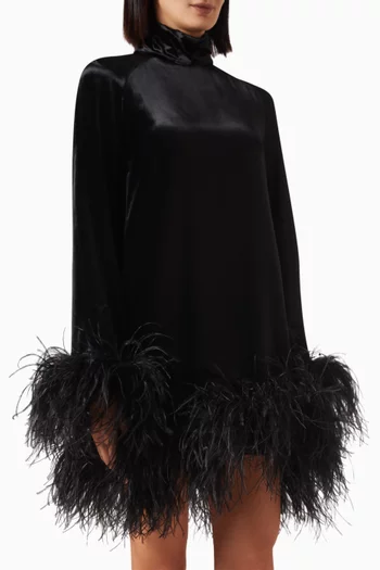 Loire Feather Mini Dress in Velvet