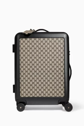 Porter Light Cabin Plus Trolley