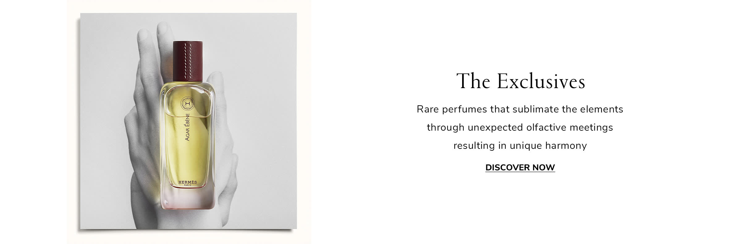 Element 2 Web EN WK1