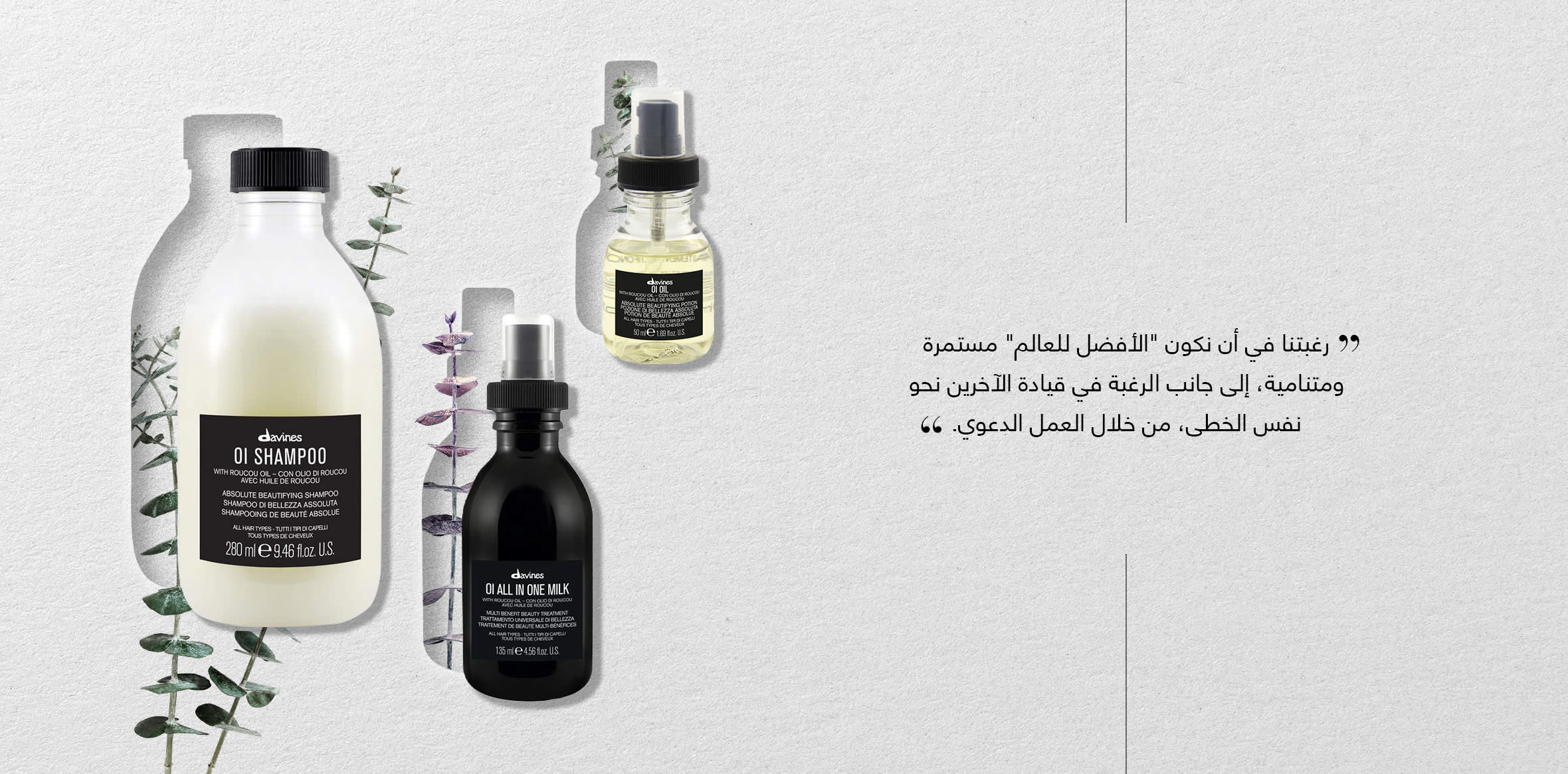 Element 3 Web AR wk12