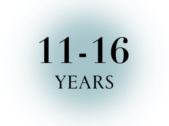 Category 4 age 11-16 years Web En W14