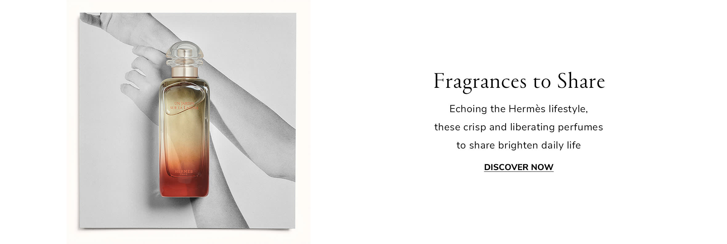 Element 4 Web EN WK1