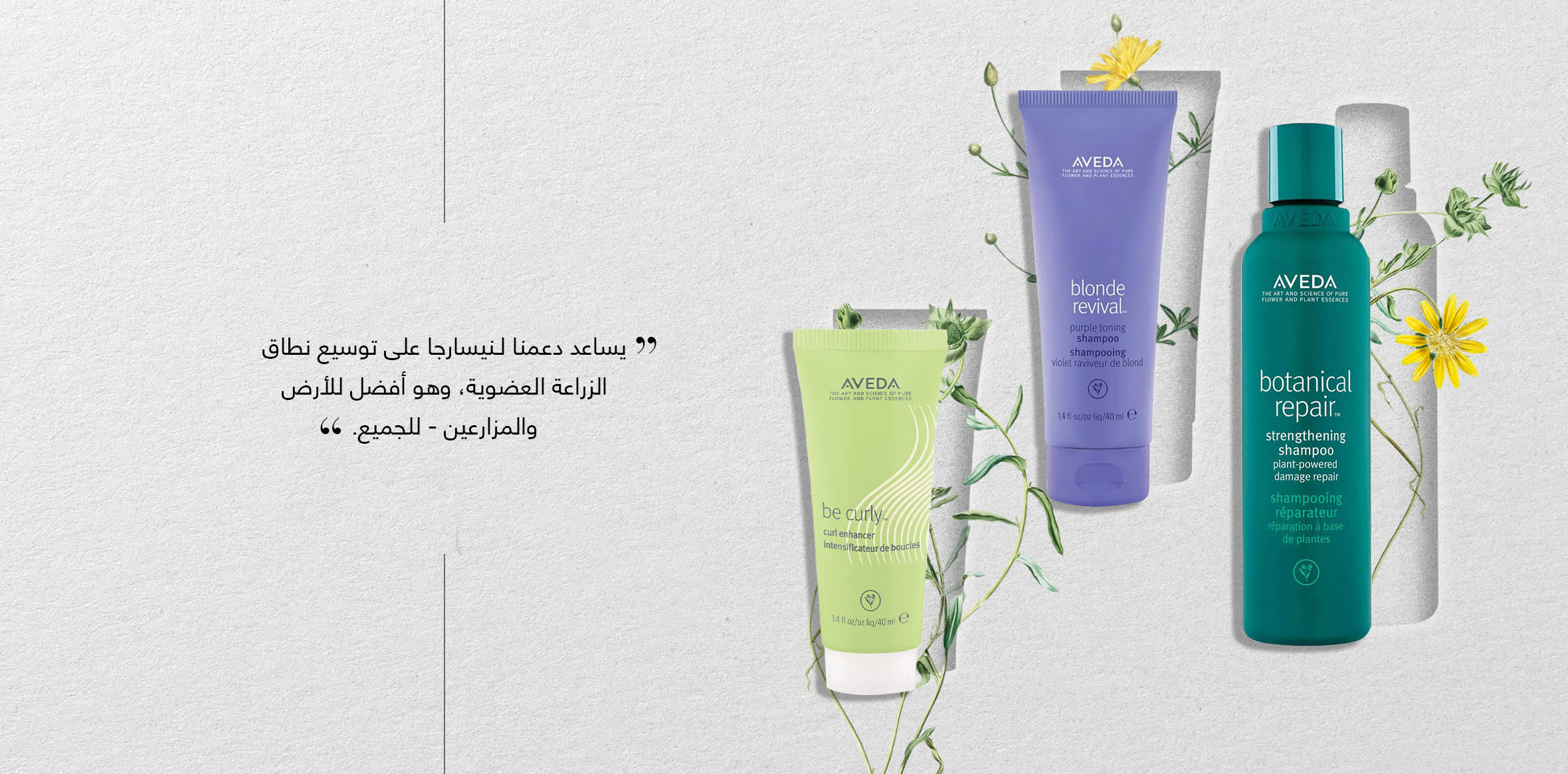 Element 2 Web AR wk12