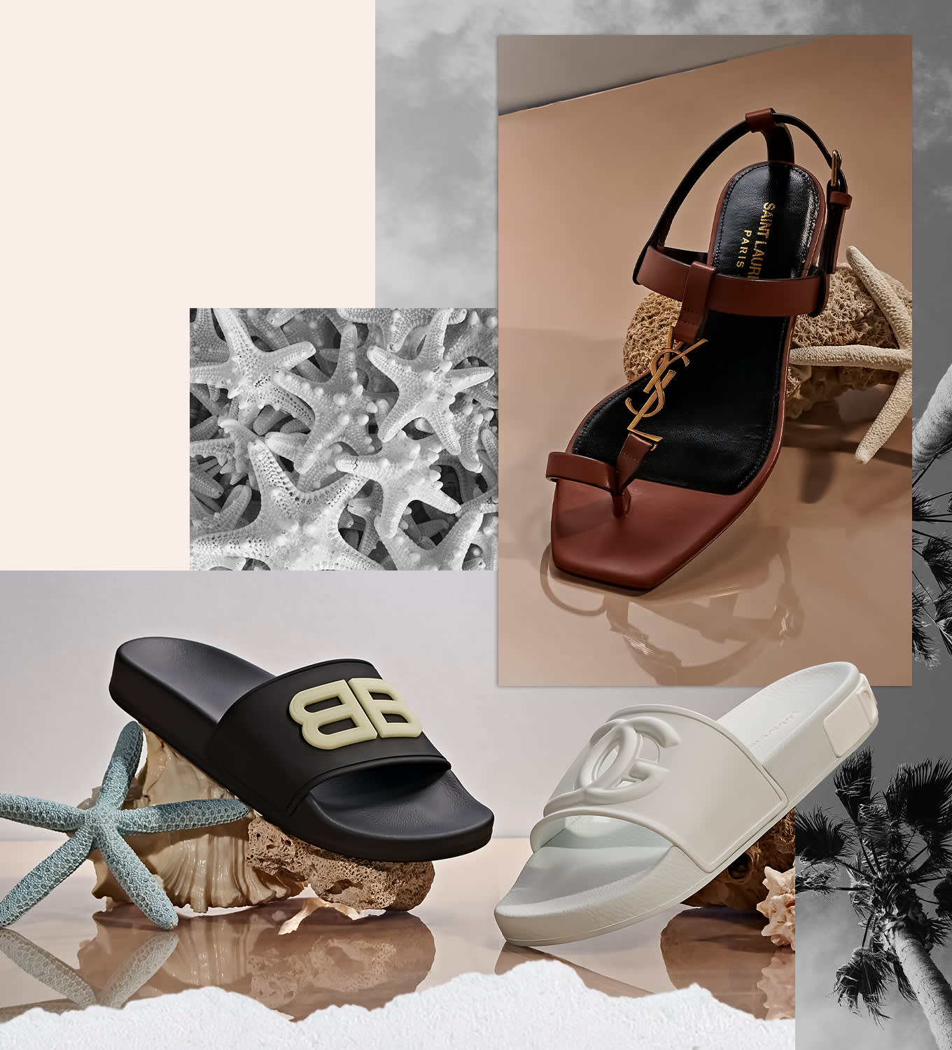 Element 5 Web