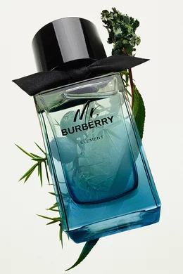 Buy Burberry Beauty Burberry Element Eau de Toilette, 150ml