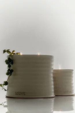 Buy LOEWE PERFUMES Small Oregano Scented Candle, 170g for UNISEX