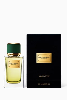 Buy Dolce Gabbana Beauty Velvet Vetiver Eau de Parfum, 100ml for