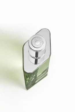 Buy HERMÈS H24 Herbes Vives Eau de parfum, 100ml for Men Online