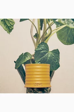 Buy LOEWE PERFUMES Medium Wasabi Candle, 600g for UNISEX Online