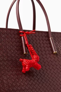 Buy Bottega Veneta Red Rabbit Charm in Intreccio Leather for Men
