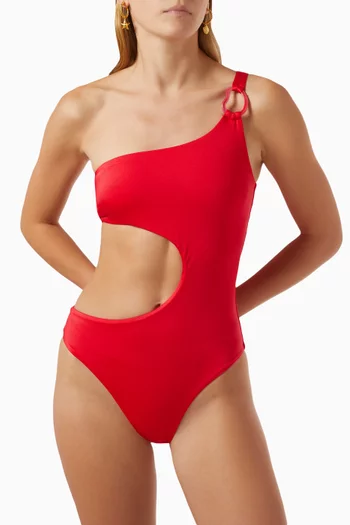 Tamboril One-piece Swimsuit in Lycra