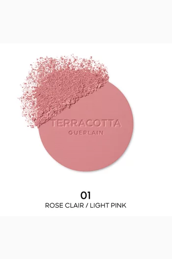 01 Light Pink Terracotta Blush - The Healthy Glow Powder Blush