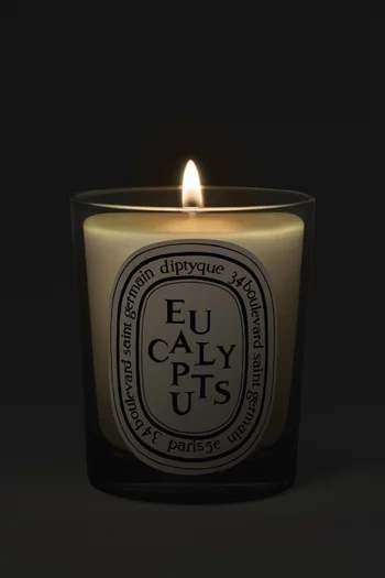 Eucalyptus Candle, 190g