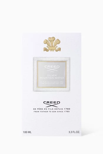 ماء عطر سلفر ماونتن ووتر، 100 ملل
