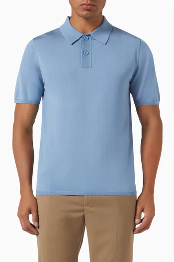 Polo Shirt in Knit