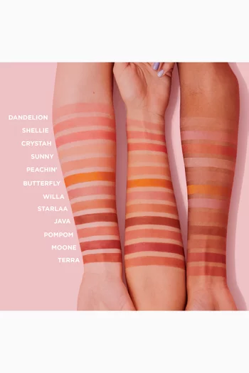 أحمر خدود شيلي ميني درجة وورم سي شيل بينك، 2.5 غرام