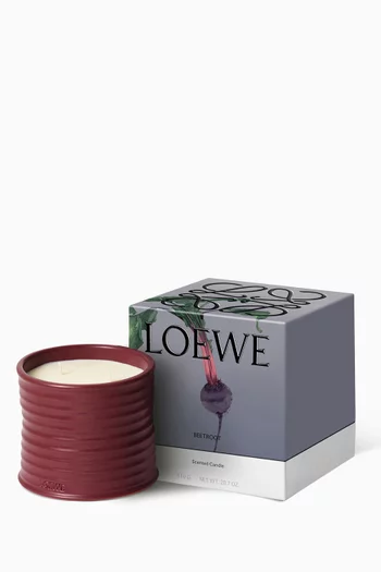 Medium Beetroot Scented Candle, 610g