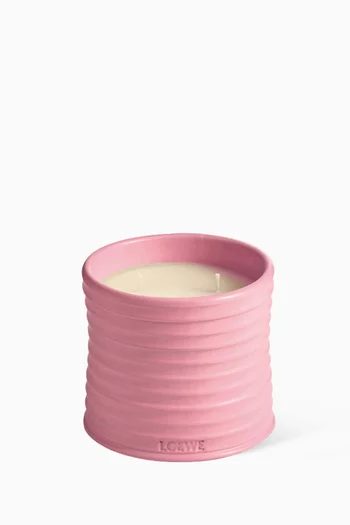 Medium Ivy Scented Candle, 610g