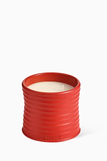 Medium Tomato Leaves Scented Candle, 610g