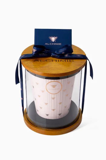 شمعة بيتالز اون رين، 5 كغم