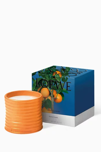 شمعة اورانج بلوسوم بحجم متوسط، 610 غرام