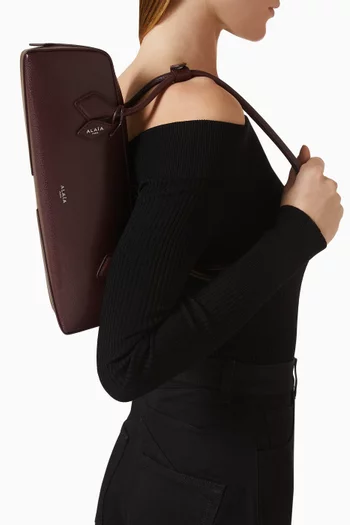 Medium Le Teckel Shoulder Bag in Leather