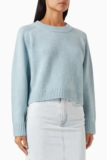 Beck Cropped Sweater in Wool-knit