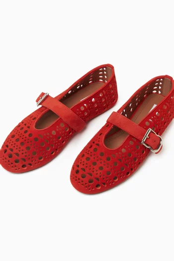 Vienne Ballet Flats in Goatskin Suede