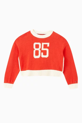 1985 Varsity Cropped Sweatshirt in Lambswool Blend Knit