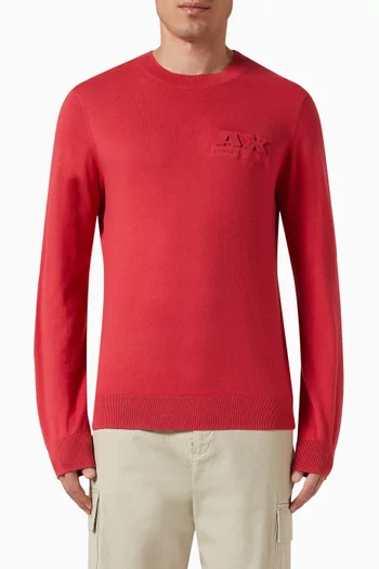 Digital Desert Logo Sweater in Cotton-blend