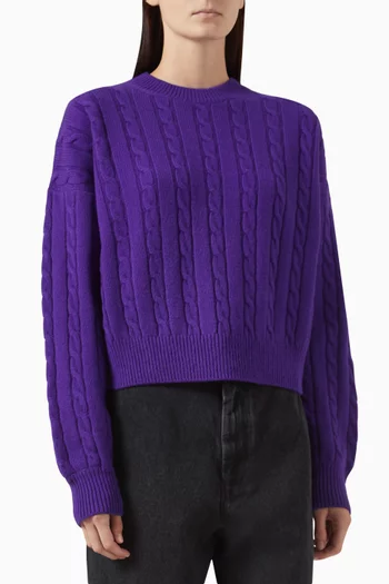 Long-sleeve Knit Sweater in Wool Blend