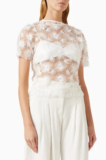 Coco Embroidered Sheer Top