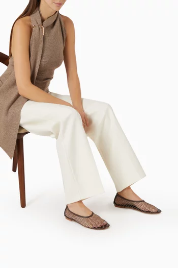 Clarissa Ballet Flats in Crystal Mesh